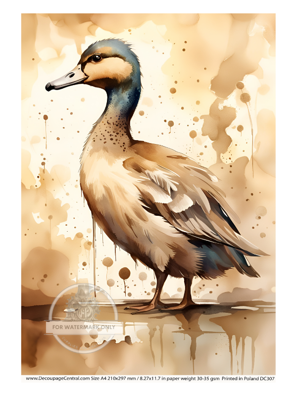 A4 Sepia Art Duck  Decoupage Rice Paper DC307