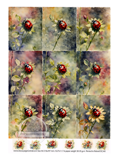 A4 Lady Bugs Rice Paper DC341