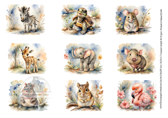 A4 Zoo Babies  Rice Paper DC345