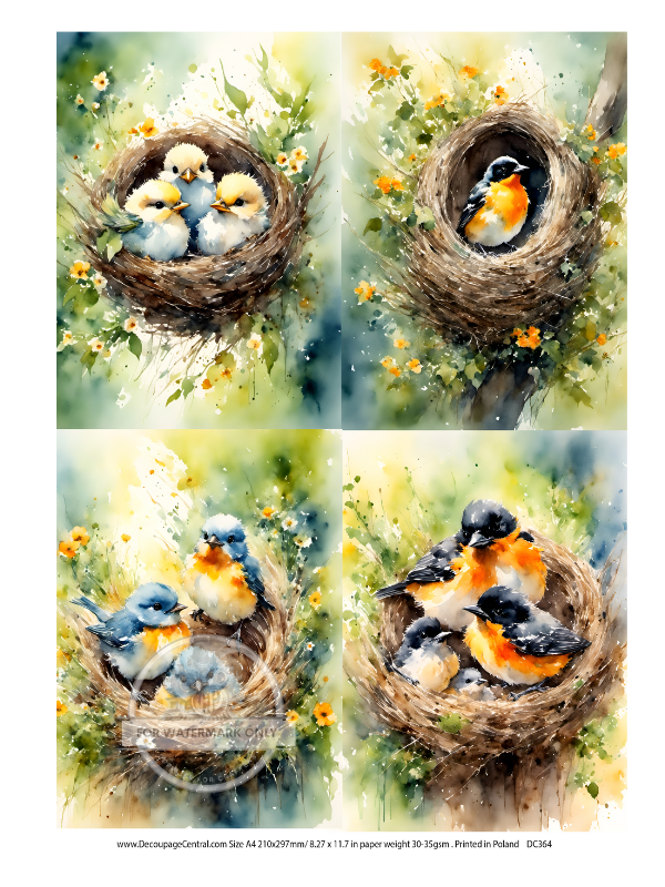 A4  Nest Birds Multi Rice Paper DC364