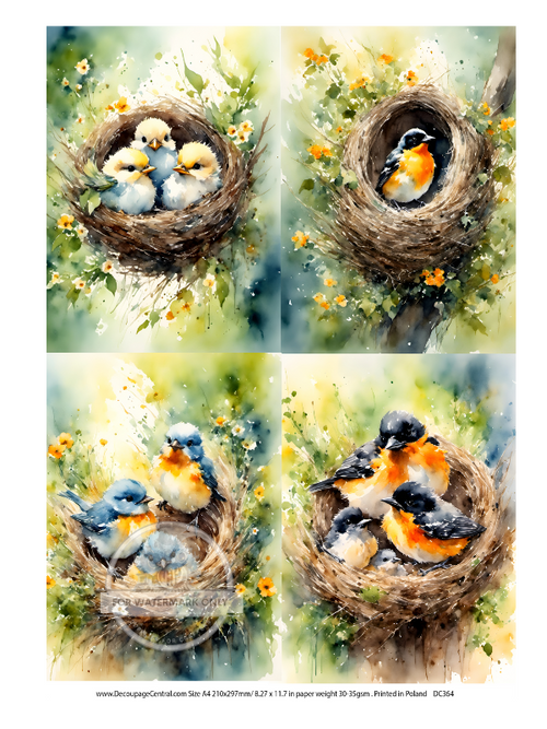 A4  Nest Birds Multi Rice Paper DC364