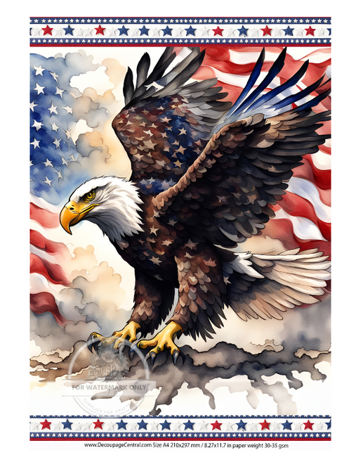 DIGITAL IMAGE: Star Eagle Instant Download