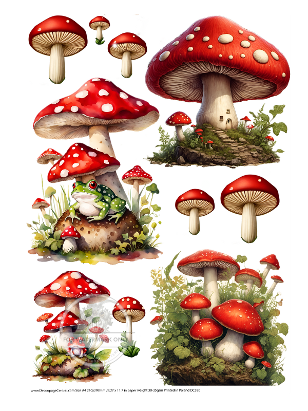 A4 Mushrooms n Toads Rice Paper DC385