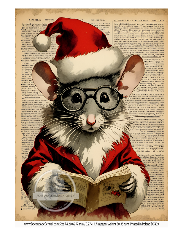 A4 Mouse Before Christmas Rice Paper DC409