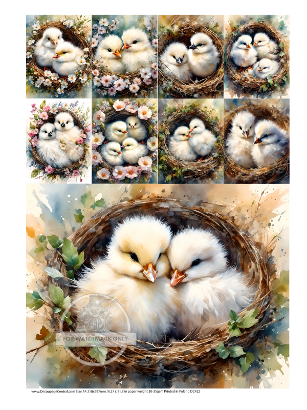 A4 Cute and Cuddly Nest Multi Rice Paper DC422