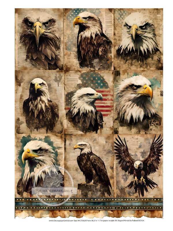A4 Eagle Portraits Rice Paper DC424