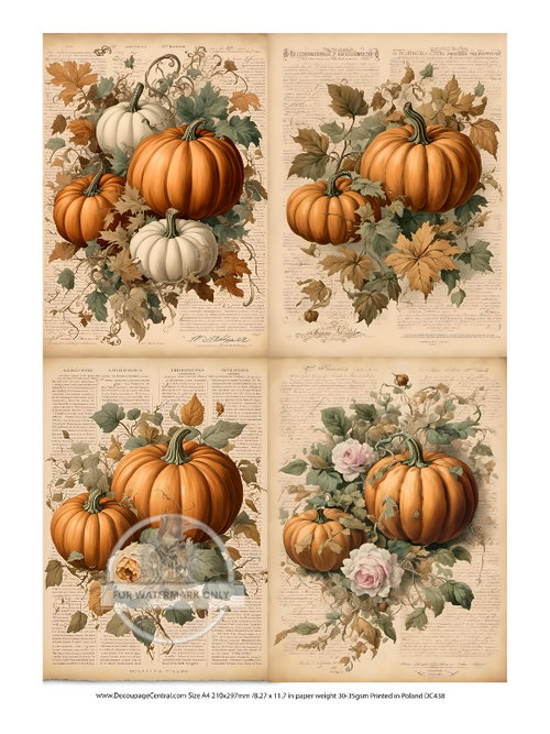 A4 Autumn Pumpkin Floral Quad Rice Paper DC438