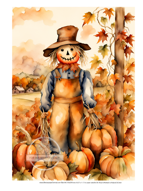 A4 Friendly Scarecrow Rice Paper DC454