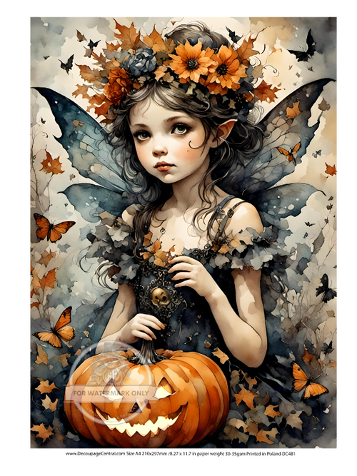 A4 Pumpkin Fairy Rice Paper DC481