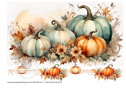 A3 Watercolor Pumpkins Paper DC5012