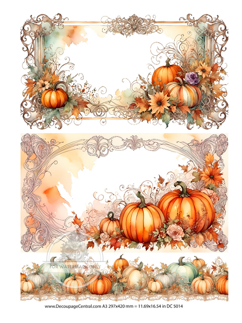 A3 Watercolor Pumpkin Trio Paper DC5014