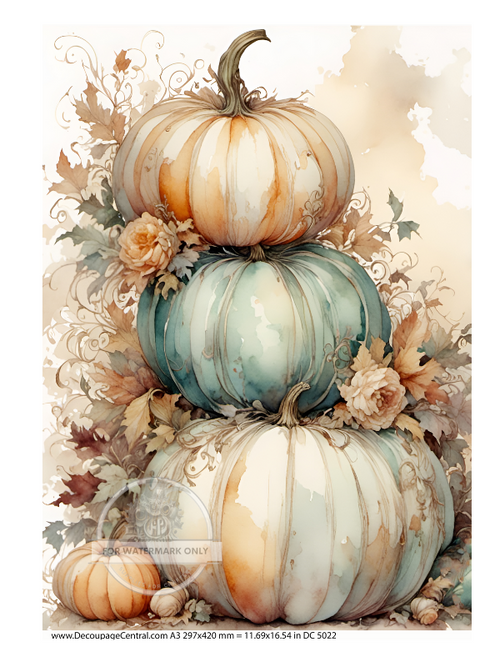 A3 Watercolor Pumpkin Stacked Paper DC5022