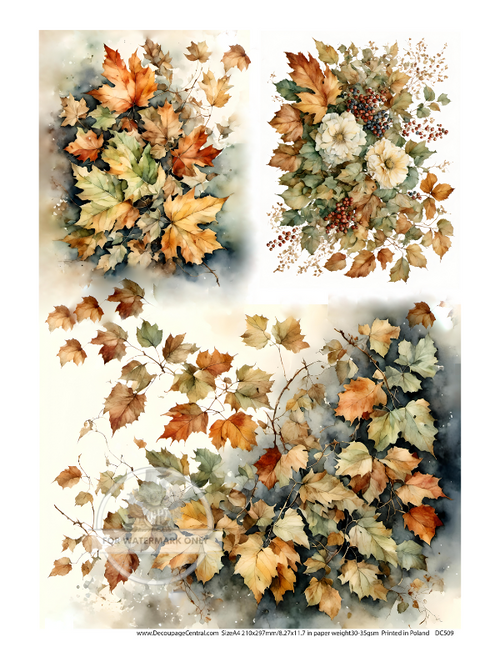 A4 Fall Leaves Trio Rice Paper DC509