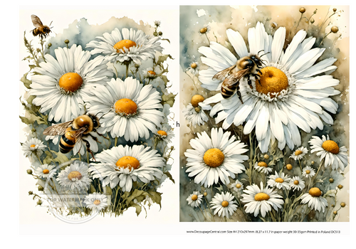 A4 Daisies and Bees Duo Rice Paper DC513