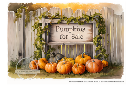 A4 Pumpkins for Sale Rice Paper DC514