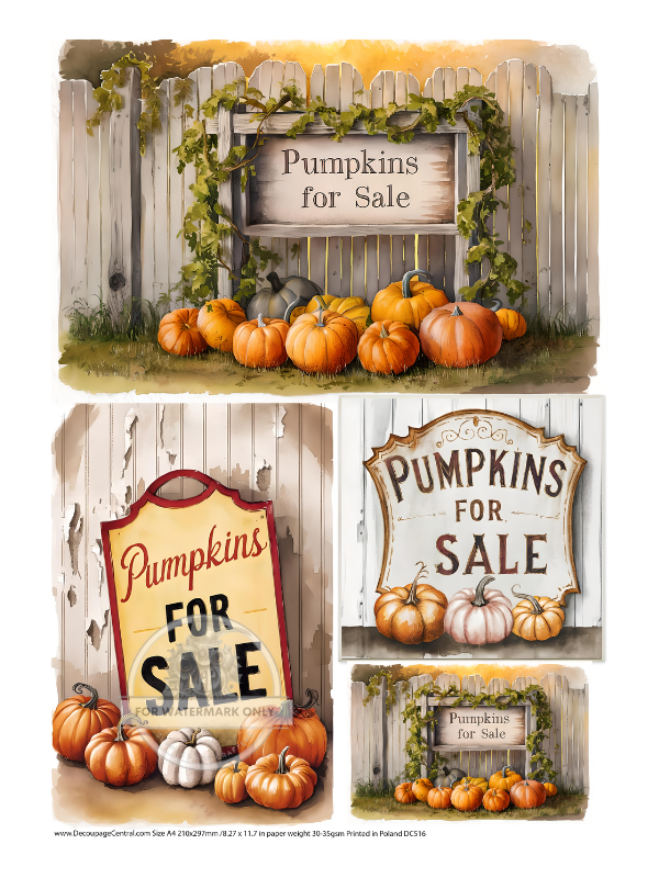 A4 Pumpkins for Sale Trio Rice Paper DC516