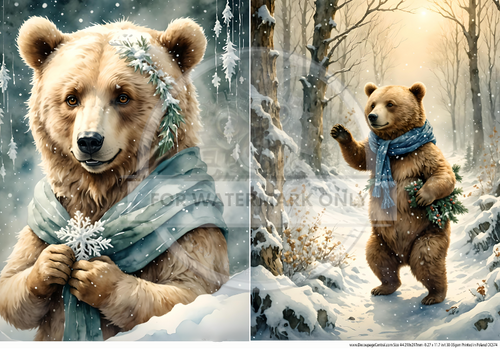 A4 Winter Bear Duo Rice Paper DC574