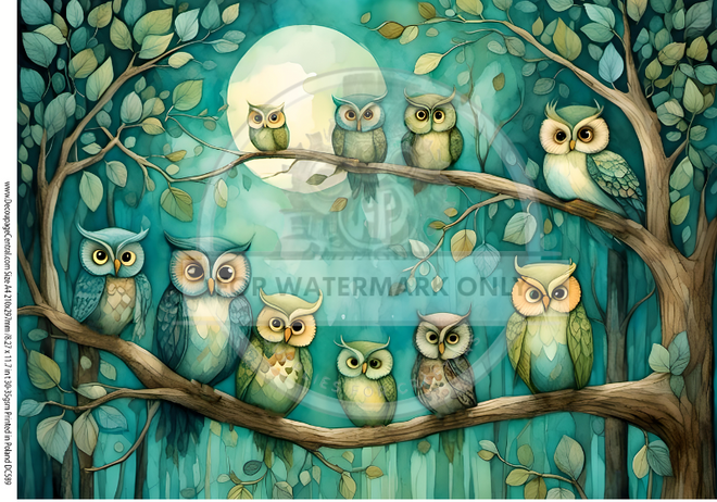 A4 More Night Owls DC589