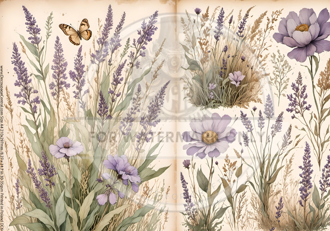 A4 Lavendar Spring Duo Rice Paper DC644