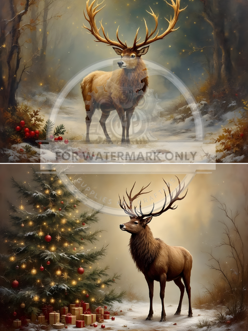A4 Winter Majesty Duo Rice Paper DC808