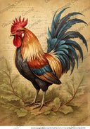 A4 Vintage Rooster Rice Paper DC836
