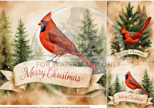 A4  DC838 Merry Cardinal Trio Rice Paper