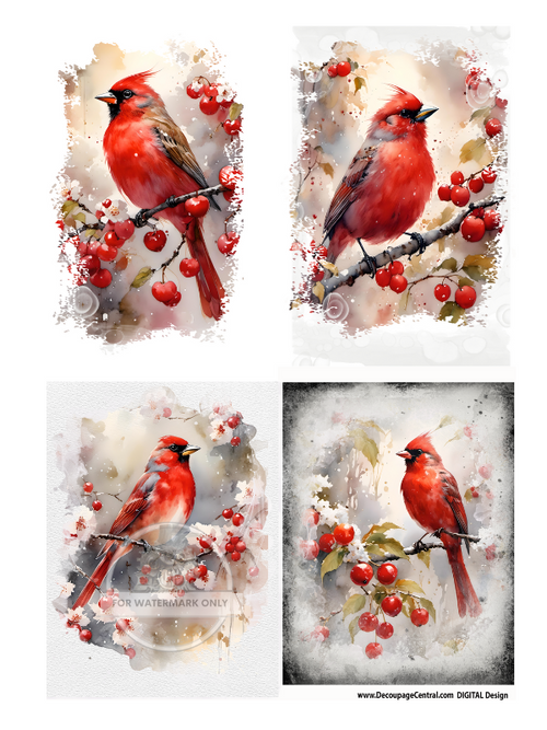 DIGITAL IMAGE: Cardinal Quad Instant Download