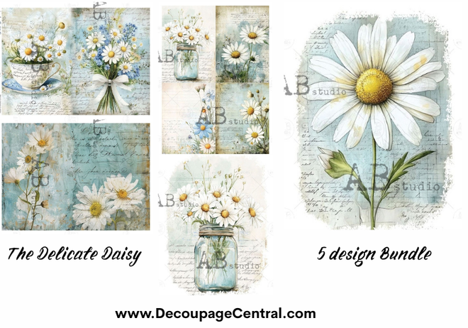 BUNDLE: Delicate Daisy Bundle, 5 A4 Designs