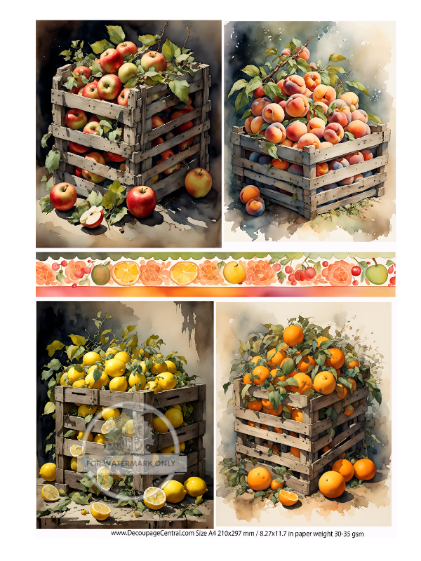 DIGITAL IMAGE: Fruit Crates Instant Download