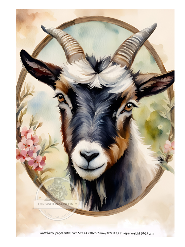 DIGITAL IMAGE:Goat  Instant Download