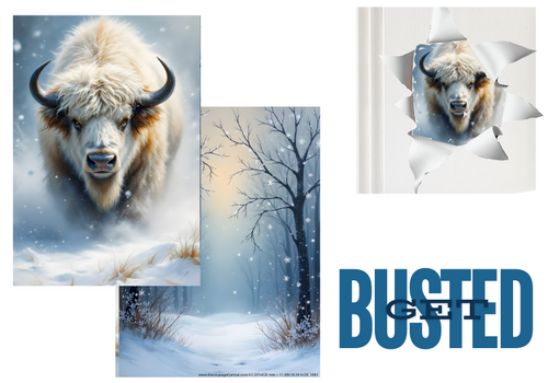 A3 Totonka White Buffalo- One Sheet with two Complimentary Designs Rice Paper DC5061