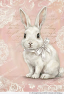 DIGITAL IMAGE: Pink Bunny