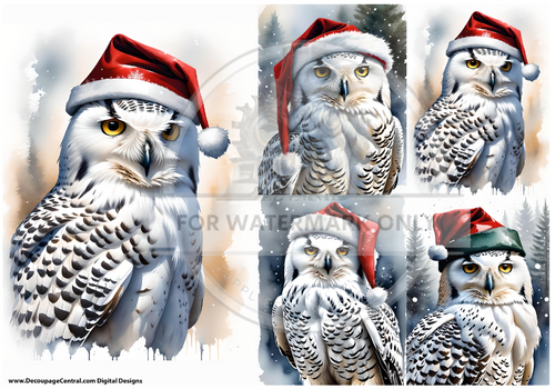 DIGITAL IMAGE: Christmas Owl Quad.  Instant Download