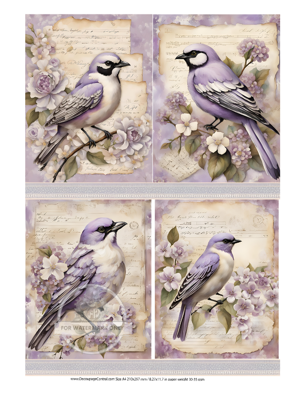 DIGITAL IMAGE: Lavender birds  Instant Download
