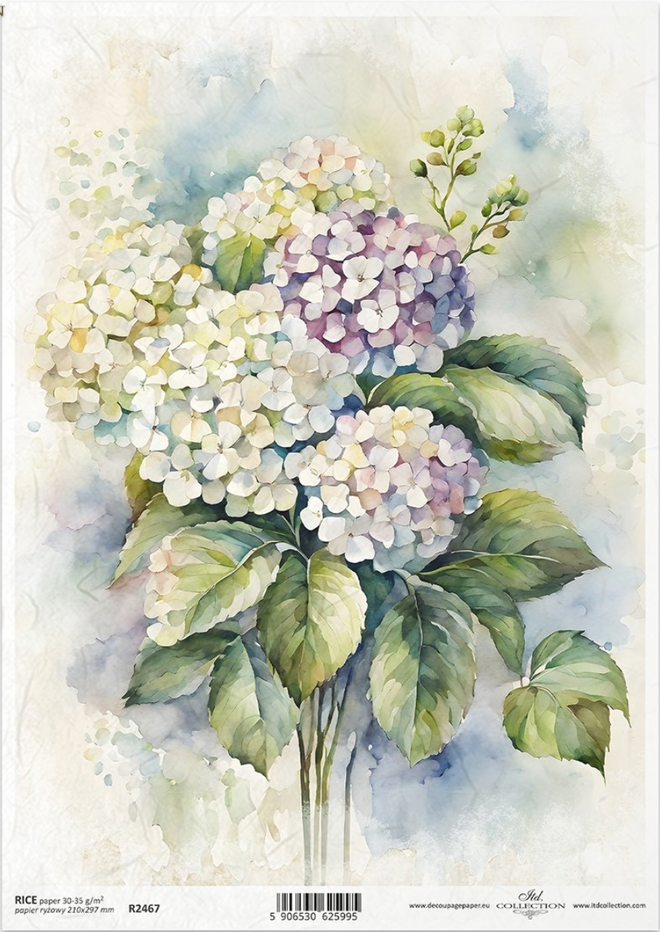 A4 Hydrangea ITD Collection Decoupage Paper R2467