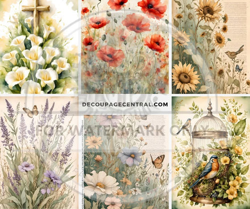 Spring Flower Bundle: 6 Floral Designs in one Click!