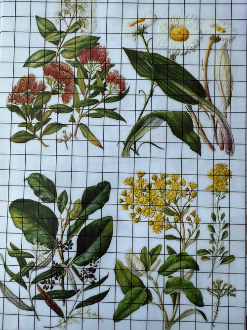 NEW IOD Sarah Featons Botanicals , Rub on Transfer 12" x 8" Pad.