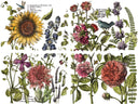 IOD BOTANISTS JOURNAL  Rub on Transfer 12" x16" Pad