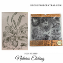 IOD Stamp Nature's Etchings 12"x 12" 2 Sheet Stamp Set