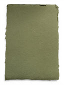 5 SHEETS SAGE GREEN  Handmade Cotton 5.75" x 8.25" Rag & Recycled paper with fluffy deckle edges