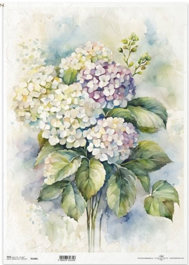 A3 ITD Hydrangea Bundle  Decoupage Paper R1306L