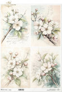 A3 ITD R1426L Apple Blossom Study Sheets Decoupage Paper