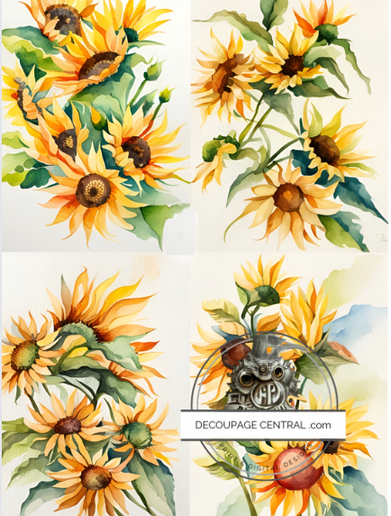 DIGITAL IMAGE: Sunflower Collection .  Instant Download