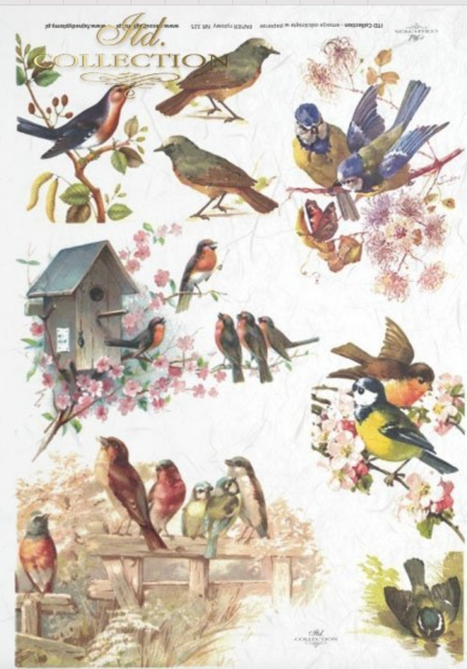 ITD A4 Rice Paper Beautiful Birds R0325