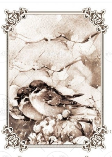 A4 Winter Birds SEPIA Rice Paper, AB Studios 2053