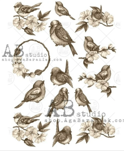A4 Sepia Bird Collection 0554 Rice Rice Paper