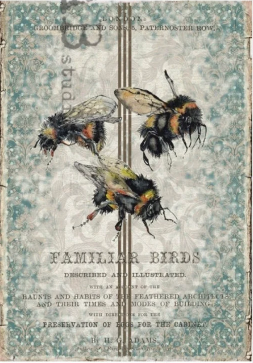 A4 The Birds and The Bees on French Linen Rice Paper  #1145
