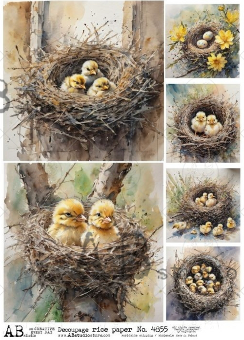 A4 Birds and Nests Rice Paper 4855