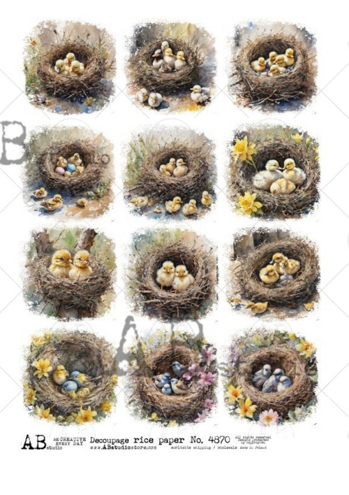 A4 Birds in Nests Multi Rice Paper 4870