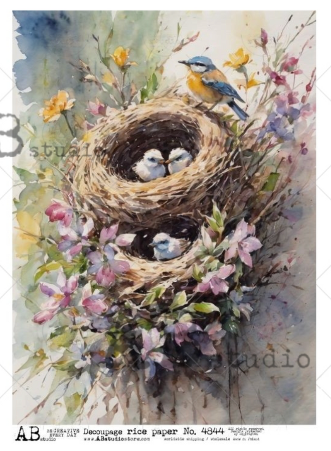 A4 Birds in Nest Rice Paper 4844